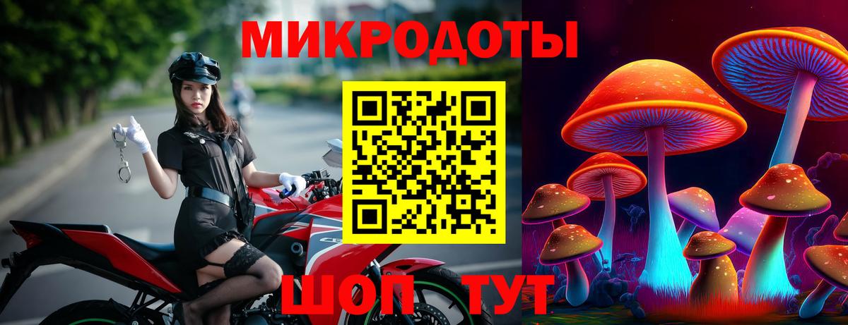 Зеленокумск  Псилоцибиновые грибы мицелий  Вход с VPN 